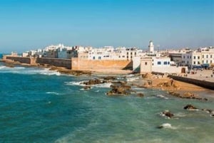 From Marrakech : Essaouira 01 day trip & argan cooperative