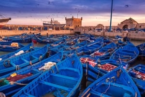 From Marrakech: Essaouira & Atlantic Coast Full-Day Trip