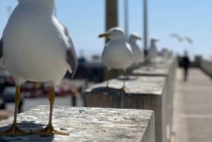 マラケシュからエッサウィラ市内と海の日帰り旅行