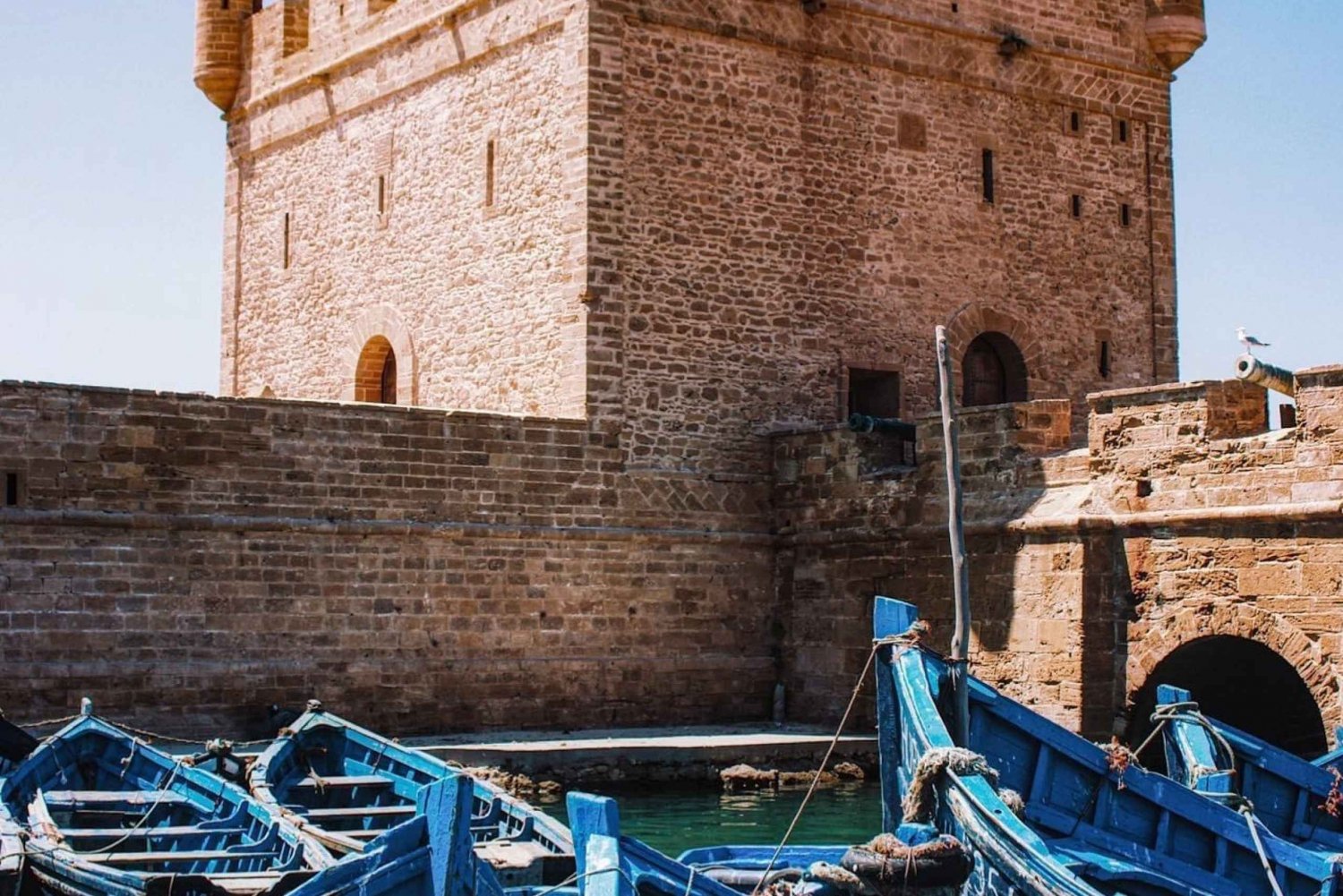 From Marrakech: Essaouira Coastal City Day Trip