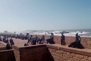 From Marrakech: Essaouira Coastal City Day Trip