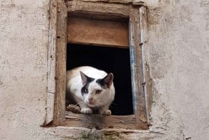 From Marrakech: Essaouira Coastal City Day Trip