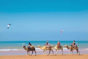 From Marrakech: Essaouira Coastal City Day Trip