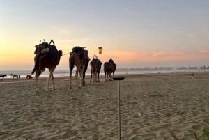マラケシュ発：エッサウィラ沿岸都市日帰り旅行