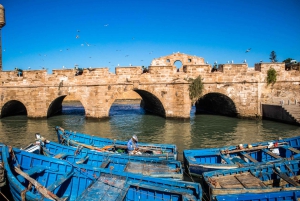 From Marrakech: Essaouira Day Trip by Van