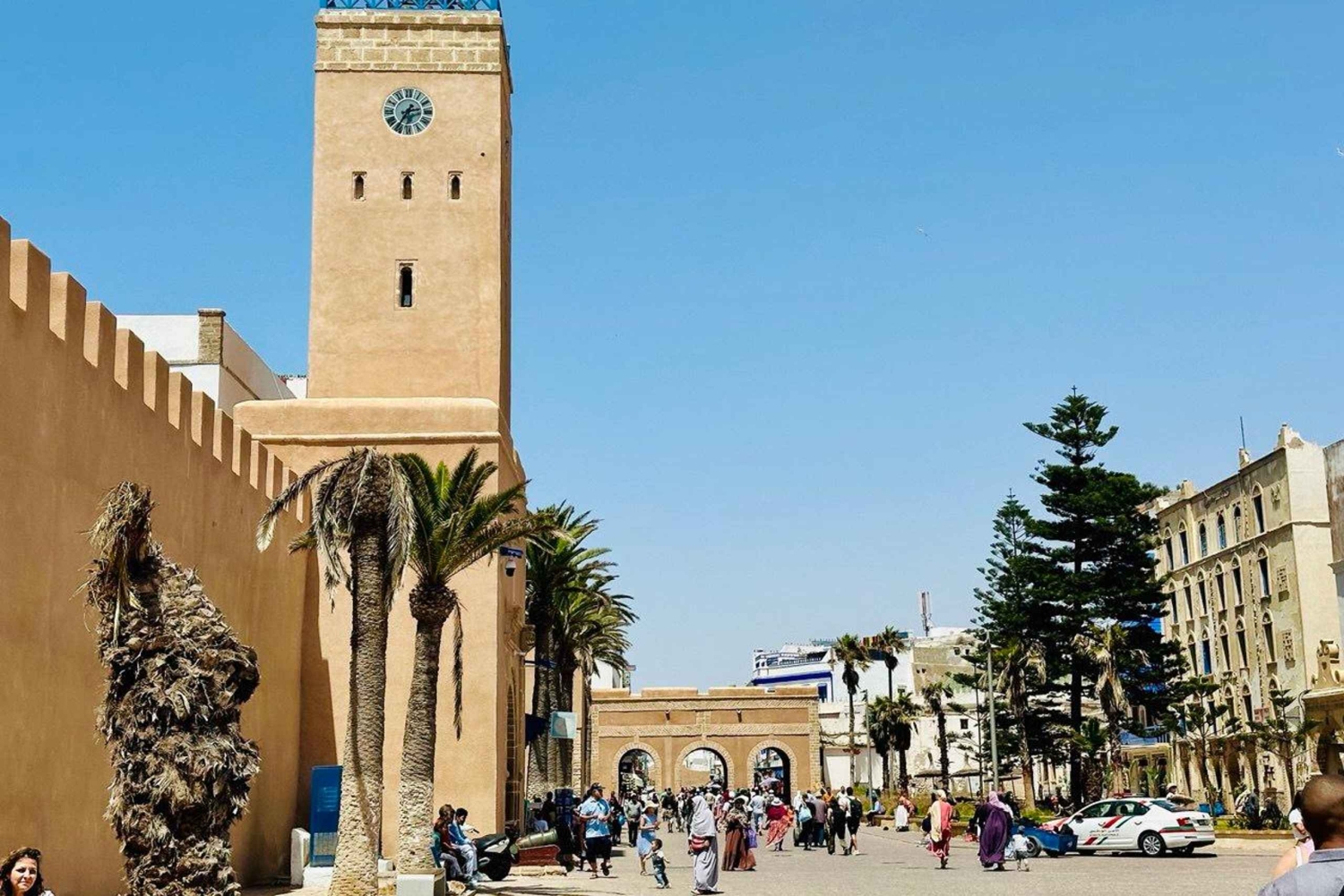 Da Marrakech: Escursione a Essaouira con cammello, cavallo e quad