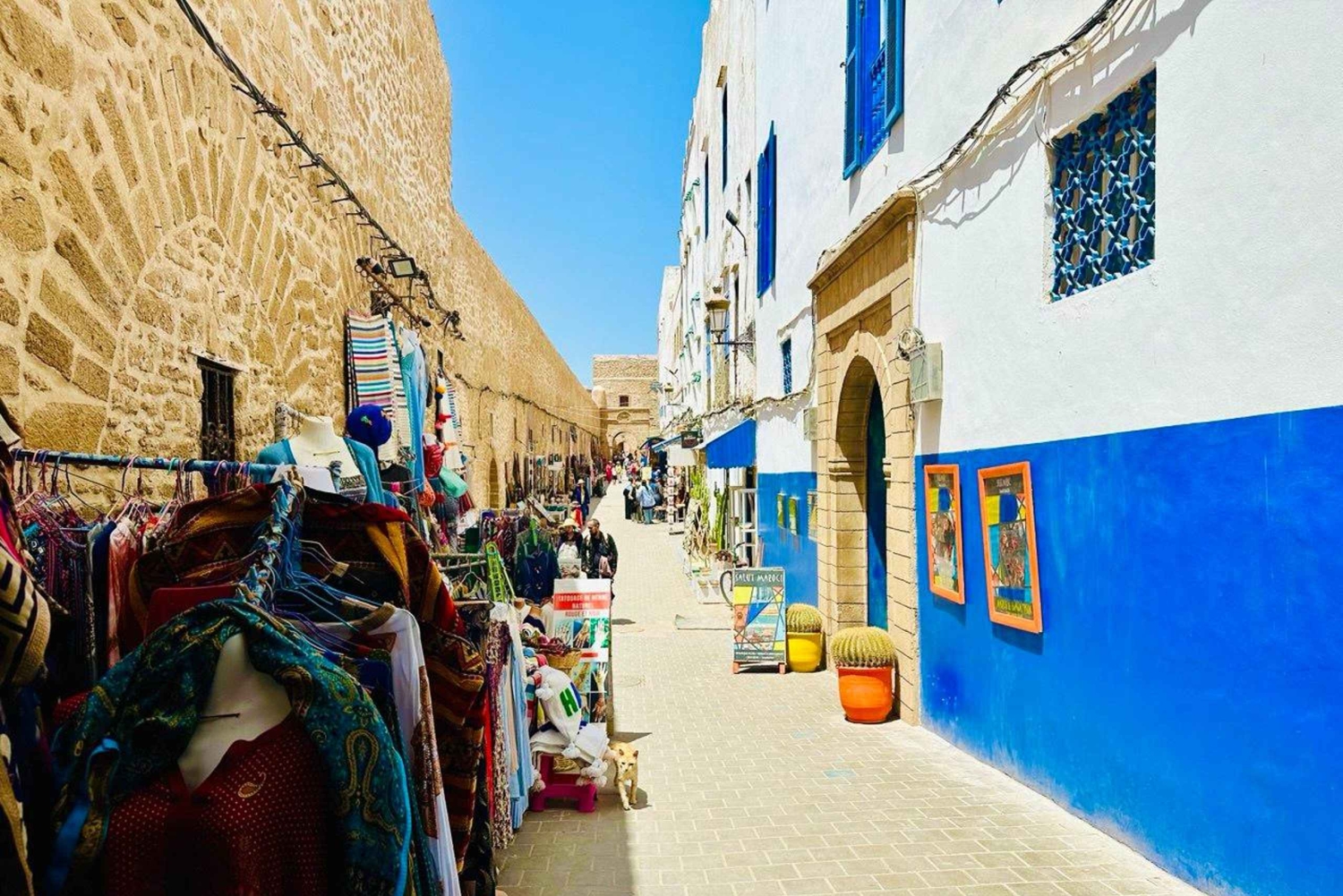 Da Marrakech: Escursione a Essaouira con cammello, cavallo e quad