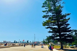 Da Marrakech: Escursione a Essaouira con cammello, cavallo e quad