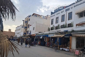 Da Marrakech: Escursione a Essaouira con cammello, cavallo e quad