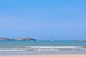 Da Marrakech: Escursione a Essaouira con cammello, cavallo e quad