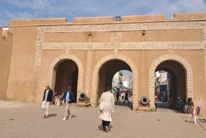 Da Marrakech: Escursione a Essaouira con cammello, cavallo e quad