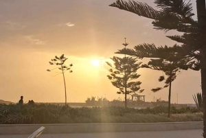 Da Marrakech: Escursione a Essaouira con cammello, cavallo e quad