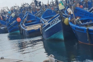 Da Marrakech: Escursione a Essaouira con cammello, cavallo e quad