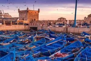 Z Marakeszu: jednodniowa wycieczka do Essaouiry z odbiorem z hotelu