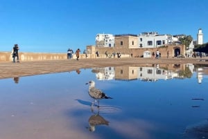 Depuis Marrakech : Excursion d'une journée à Essaouira avec prise en charge à l'hôtel