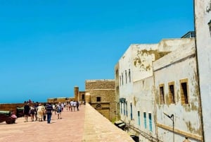 Z Marrakeszu: Essaouira - 1-dniowa wycieczka z zajęciami fakultatywnymi