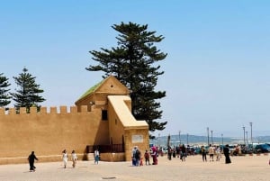 Z Marrakeszu: Essaouira - 1-dniowa wycieczka z zajęciami fakultatywnymi