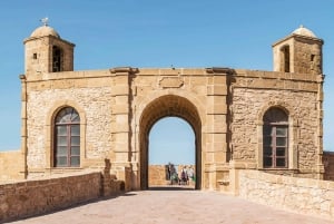 From Marrakech : Essaouira Day Trip with Optional Activities