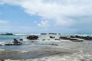 From Marrakech : Essaouira Day Trip with Optional Activities