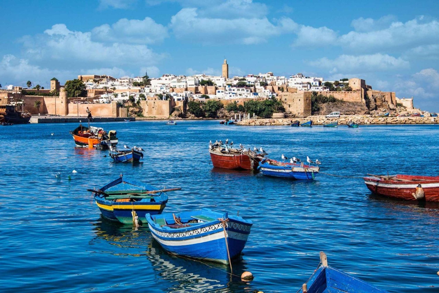 Från Marrakech: Heldagsutflykt till Essaouira