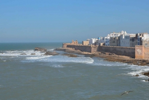 From Marrakech: Essaouira Full-Day Trip