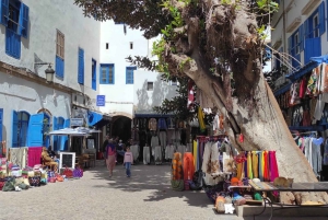 Z Marrakeszu: Jednodniowa wycieczka do Essaouiry z odbiorem z hotelu