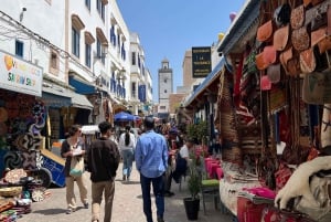 Z Marrakeszu: Jednodniowa wycieczka do Essaouiry z odbiorem z hotelu