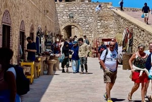 Z Marrakeszu: Jednodniowa wycieczka do Essaouiry z odbiorem z hotelu