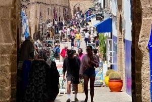 Z Marrakeszu: Jednodniowa wycieczka do Essaouiry z odbiorem z hotelu