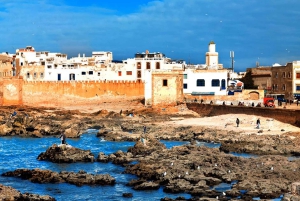 From Marrakech: Essaouira City Full-Day Trip