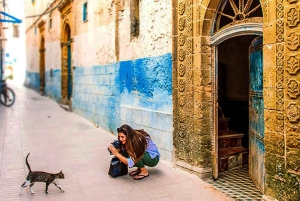 From Marrakech: Essaouira City Full-Day Trip
