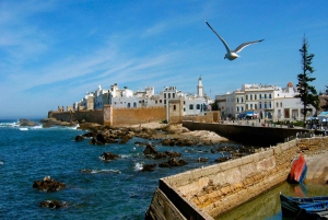 From Marrakech: Essaouira City Full-Day Trip