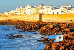 From Marrakech: Essaouira City Full-Day Trip