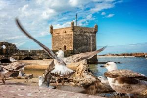 From Marrakech: Essaouira City Full-Day Trip