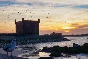 From Marrakech: Essaouira City Full-Day Trip