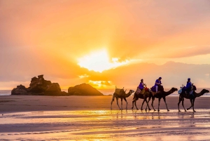 From Marrakech: Essaouira City Full-Day Trip