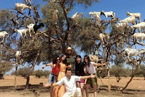 From Marrakech: Essaouira City Full-Day Trip
