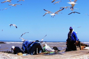 From Marrakech: Essaouira City Full-Day Trip