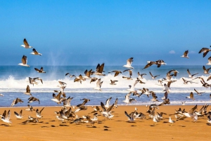 From Marrakech: Essaouira City Full-Day Trip
