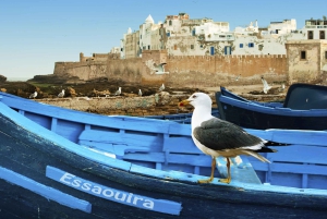 From Marrakech: Essaouira City Full-Day Trip