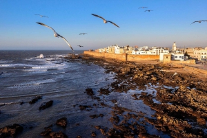 From Marrakech: Essaouira City Full-Day Trip