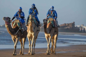 From Marrakech: Essaouira City Full-Day Trip