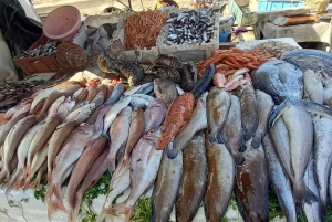 From Marrakech: Essaouira City Full-Day Trip