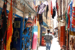 From Marrakech: Essaouira City Full-Day Trip