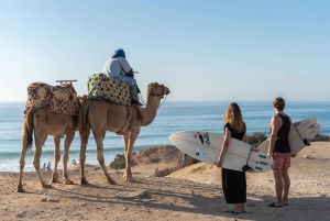 From Marrakech: Essaouira City Full-Day Trip