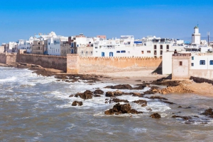 From Marrakech: Essaouira City Full-Day Trip