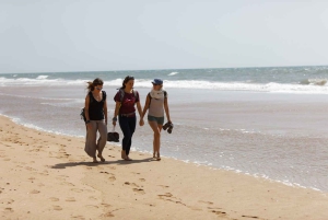 From Marrakech: Essaouira City Full-Day Trip