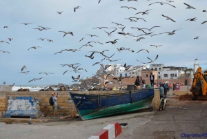 From Marrakech: Essaouira City Full-Day Trip