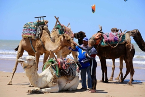 From Marrakech: Essaouira City Full-Day Trip