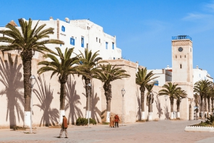 From Marrakech: Essaouira City Full-Day Trip